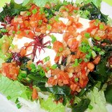 豆腐と海藻のトマトドレッシングサラダ